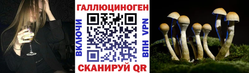 Галлюциногенные грибы прущие грибы  Юрьев-Польский 