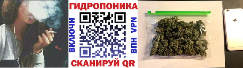 где можно купить наркотик  Юрьев-Польский  Конопля семена 